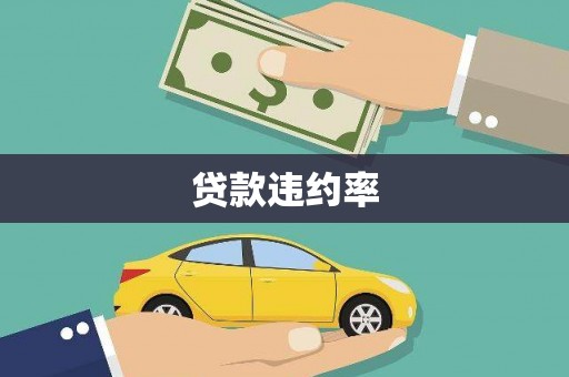 南溪贷款违约率