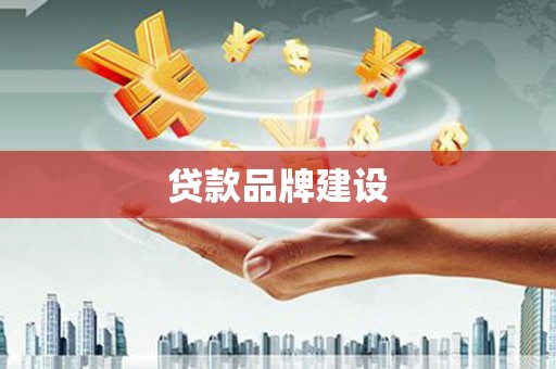 南溪贷款品牌建设