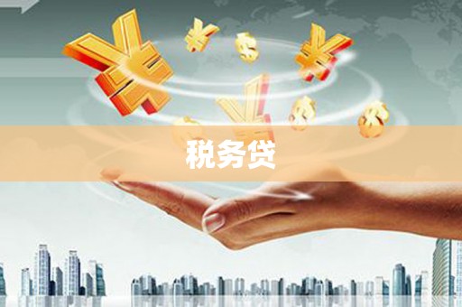 南溪税务贷