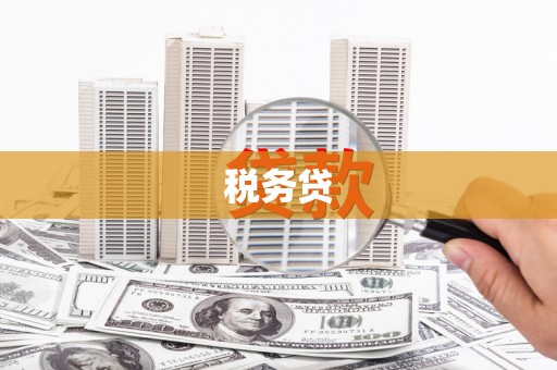 南溪税务贷