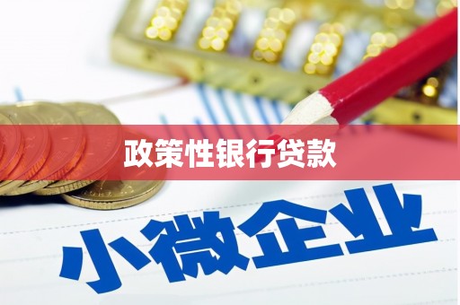 南溪政策性银行贷款