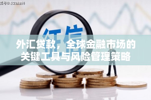 南溪外汇贷款，全球金融市场的关键工具与风险管理策略