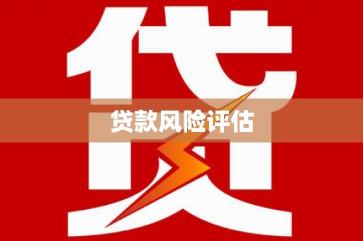 南溪贷款风险评估