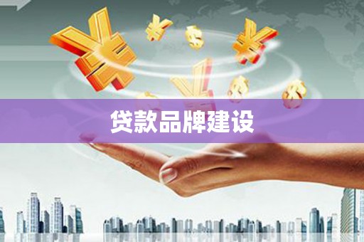 南溪贷款品牌建设