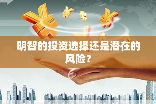南溪明智的投资选择还是潜在的风险？