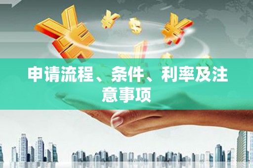 南溪申请流程、条件、利率及注意事项