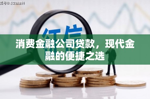 南溪消费金融公司贷款，现代金融的便捷之选
