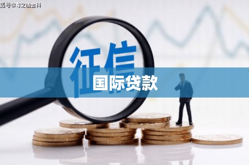 南溪国际贷款