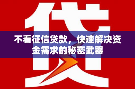 南溪不看征信贷款，快速解决资金需求的秘密武器