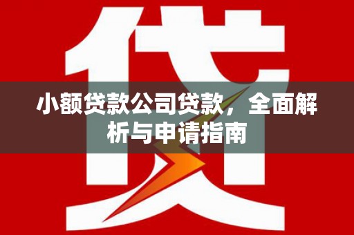 南溪小额贷款公司贷款，全面解析与申请指南