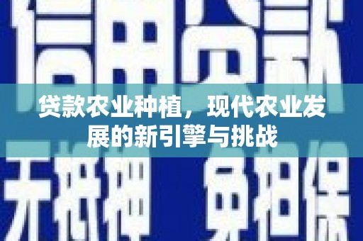 南溪贷款农业种植，现代农业发展的新引擎与挑战