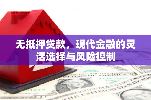 南溪无抵押贷款，现代金融的灵活选择与风险控制
