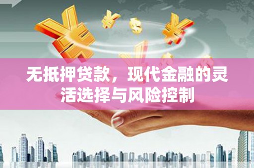 南溪无抵押贷款，现代金融的灵活选择与风险控制