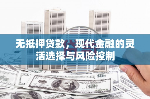 南溪无抵押贷款，现代金融的灵活选择与风险控制