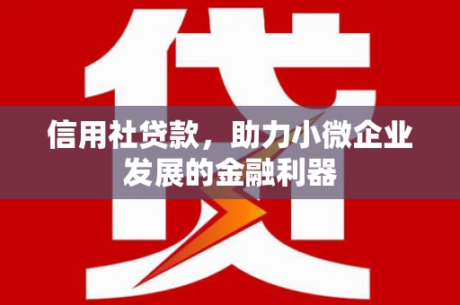 南溪信用社贷款，助力小微企业发展的金融利器