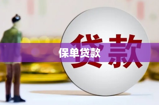 南溪保单贷款