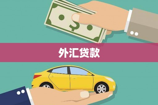南溪外汇贷款