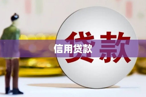南溪信用贷款