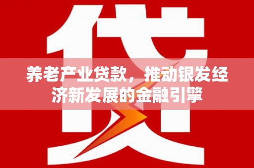 南溪养老产业贷款，推动银发经济新发展的金融引擎