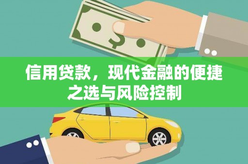 南溪信用贷款，现代金融的便捷之选与风险控制