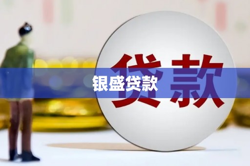 南溪银盛贷款