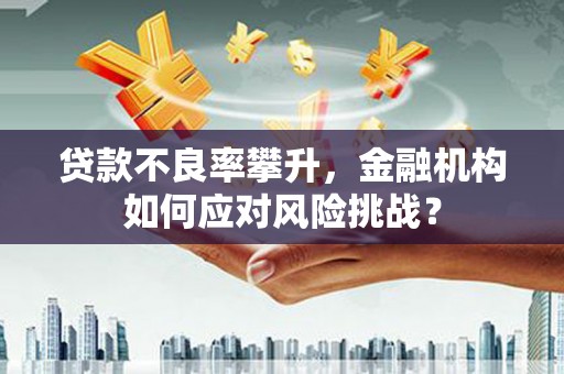 南溪贷款不良率攀升，金融机构如何应对风险挑战？