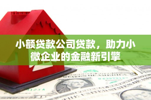 南溪小额贷款公司贷款，助力小微企业的金融新引擎