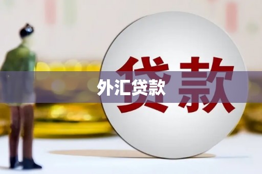 南溪外汇贷款