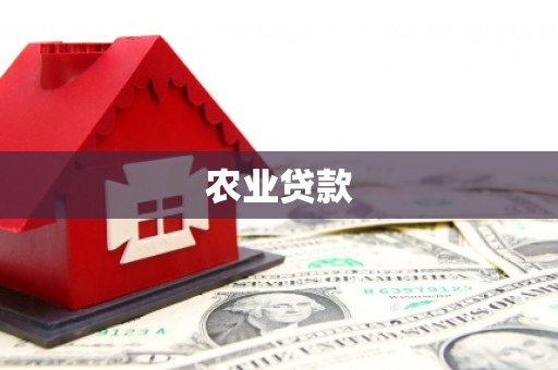南溪农业贷款