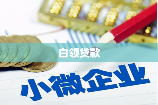 南溪白领贷款