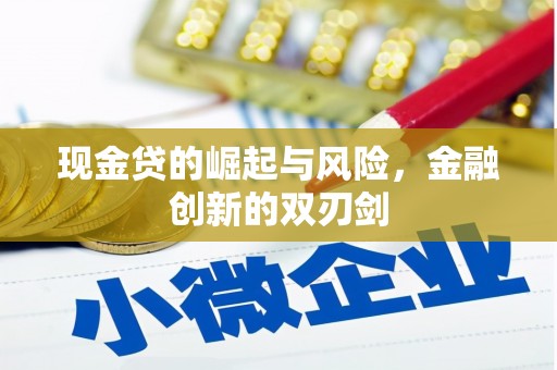 南溪现金贷的崛起与风险，金融创新的双刃剑