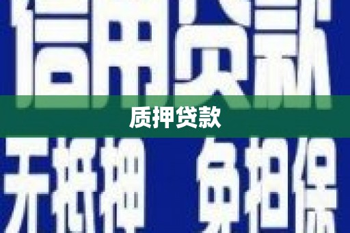南溪质押贷款