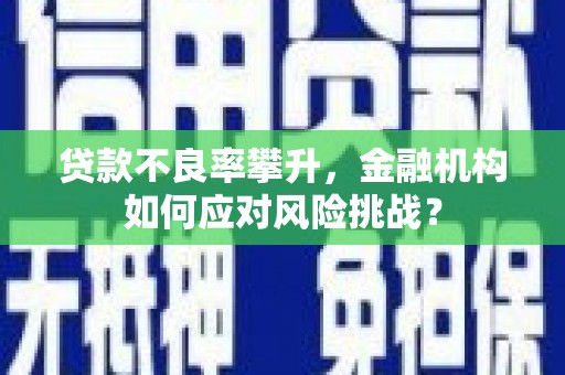 南溪贷款不良率攀升，金融机构如何应对风险挑战？
