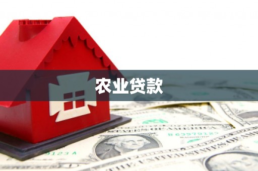 南溪农业贷款