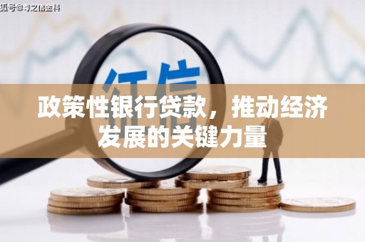 南溪政策性银行贷款，推动经济发展的关键力量