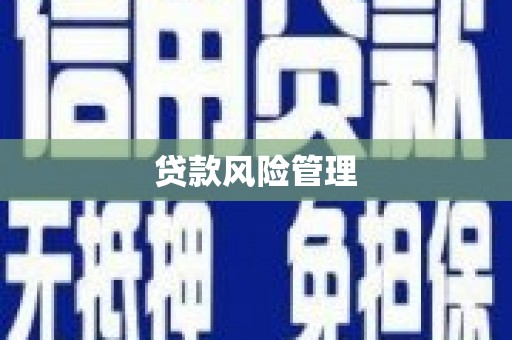 南溪贷款风险管理