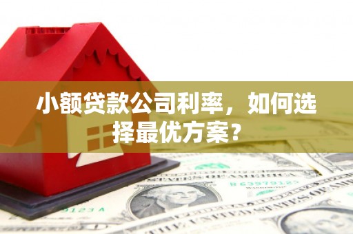南溪小额贷款公司利率，如何选择最优方案？