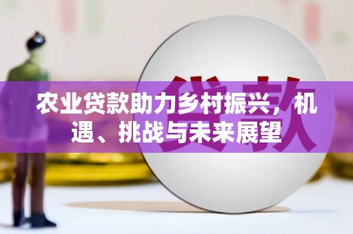 南溪农业贷款助力乡村振兴，机遇、挑战与未来展望
