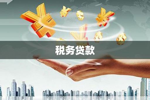 南溪税务贷款