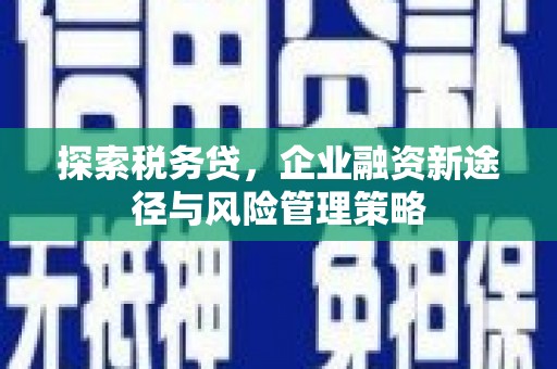 南溪探索税务贷，企业融资新途径与风险管理策略