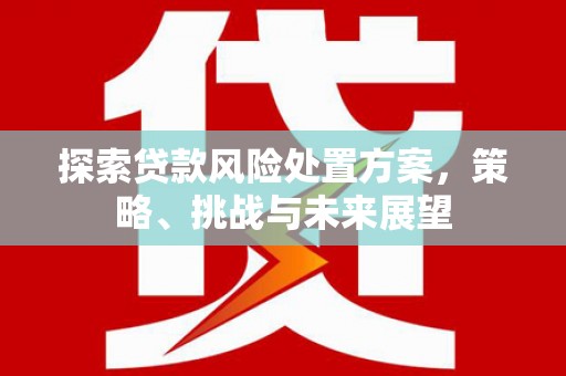 南溪探索贷款风险处置方案，策略、挑战与未来展望