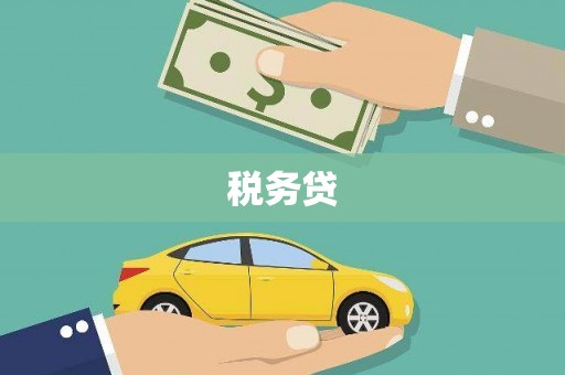南溪税务贷