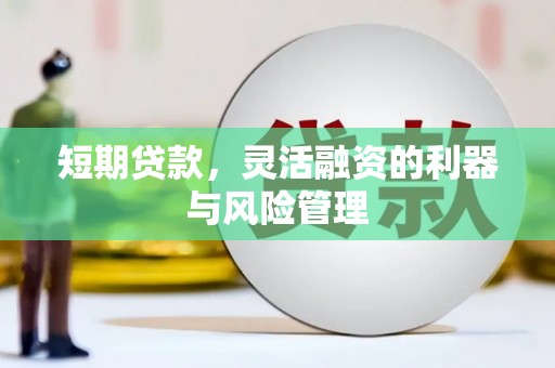 南溪短期贷款，灵活融资的利器与风险管理