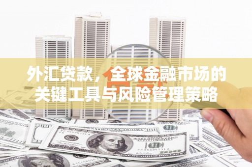 南溪外汇贷款，全球金融市场的关键工具与风险管理策略