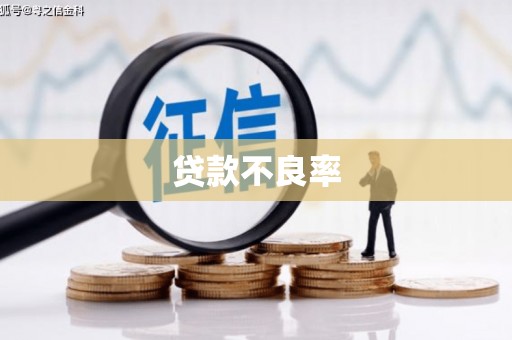 南溪贷款不良率