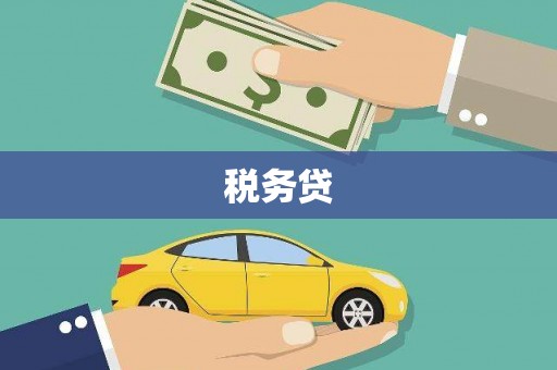 南溪税务贷
