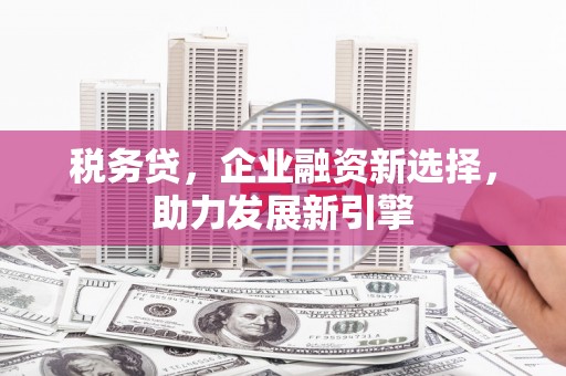 南溪税务贷，企业融资新选择，助力发展新引擎