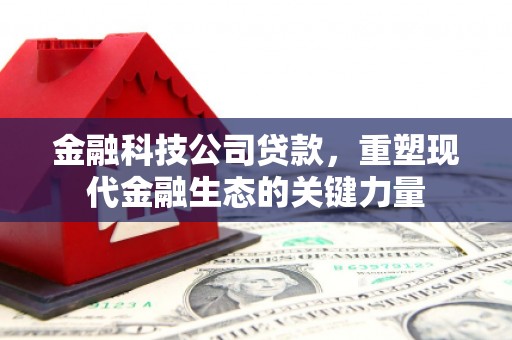 南溪金融科技公司贷款，重塑现代金融生态的关键力量