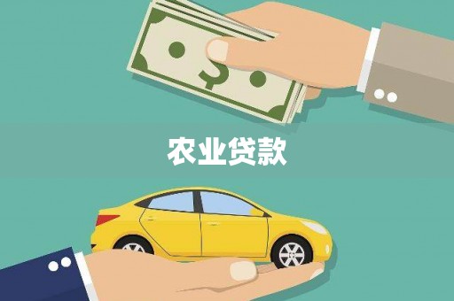 南溪农业贷款