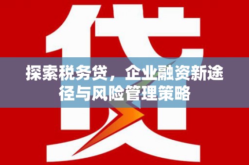 南溪探索税务贷，企业融资新途径与风险管理策略